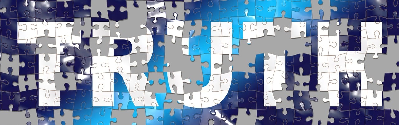 Lie Detector LTD Ireland business image in Sandyford, Dublin